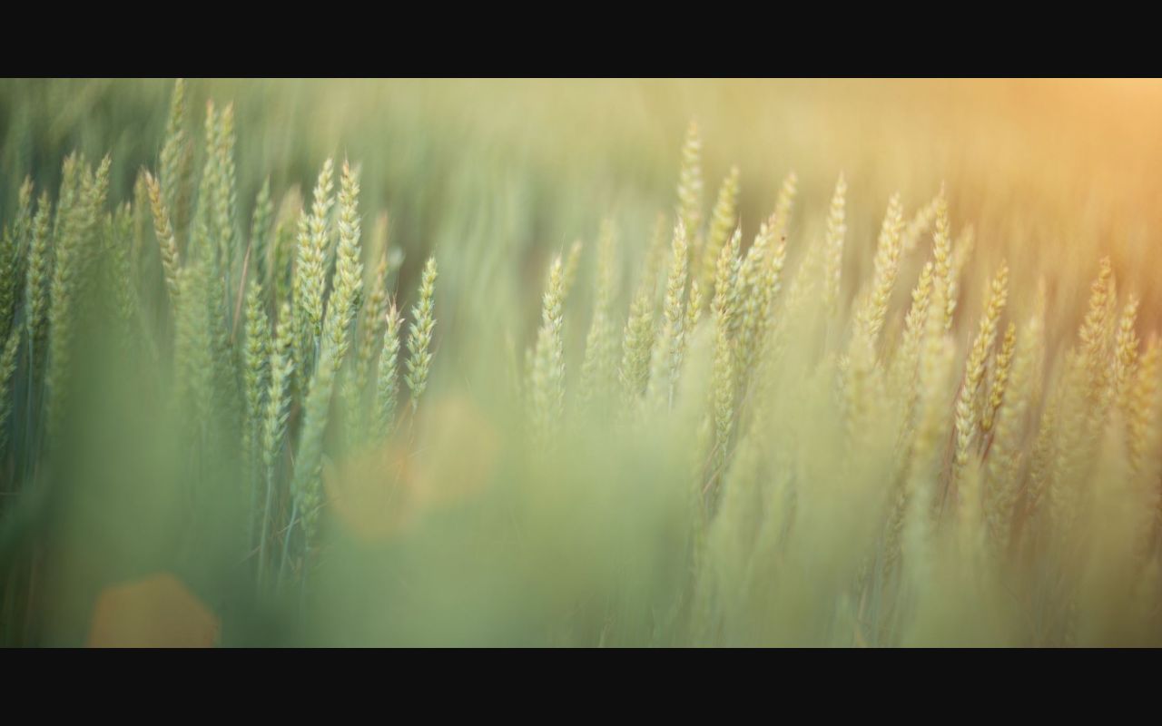 adams county court docket courthouse facility