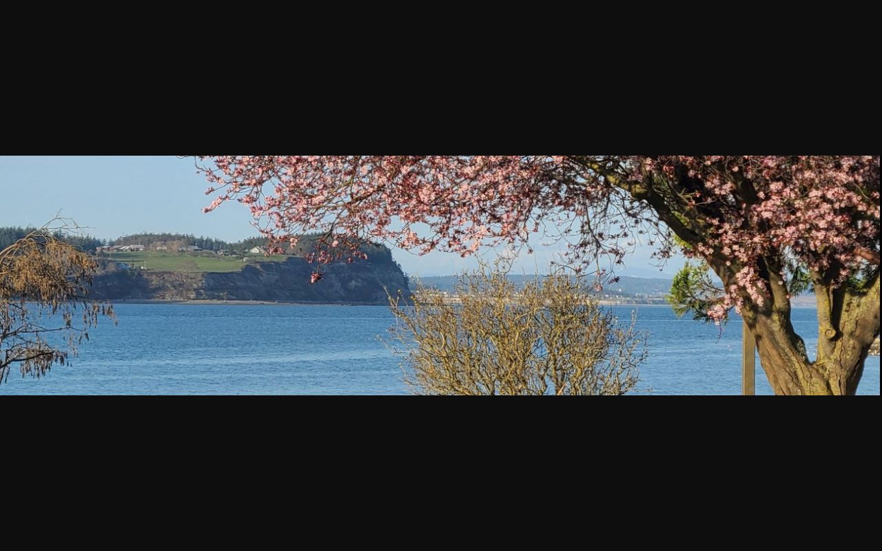 island county court docket courthouse facility