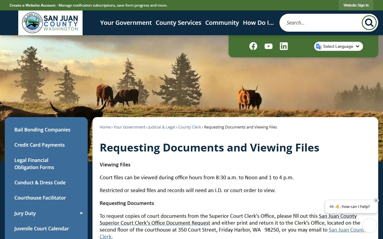 San Juan County requesting documents and viewing court files page